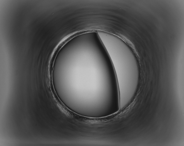 X0000086000792200703230848