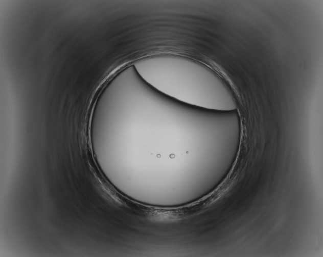 X0000086000794200703230848