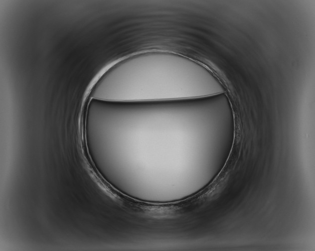 X0000086000796200703230848