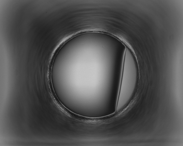 X0000086000797200703230848