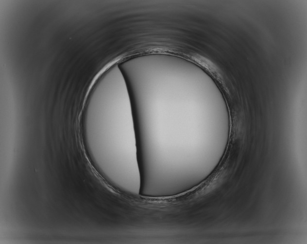 X0000086000798200703230848