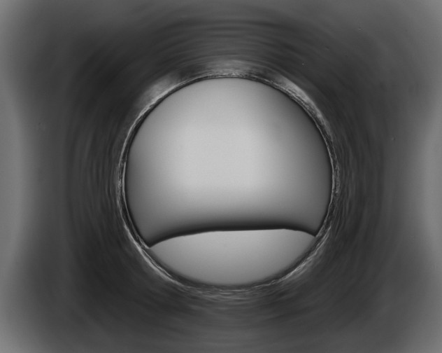 X0000086000802200703230848
