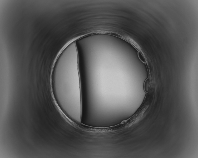 X0000086000803200703230848