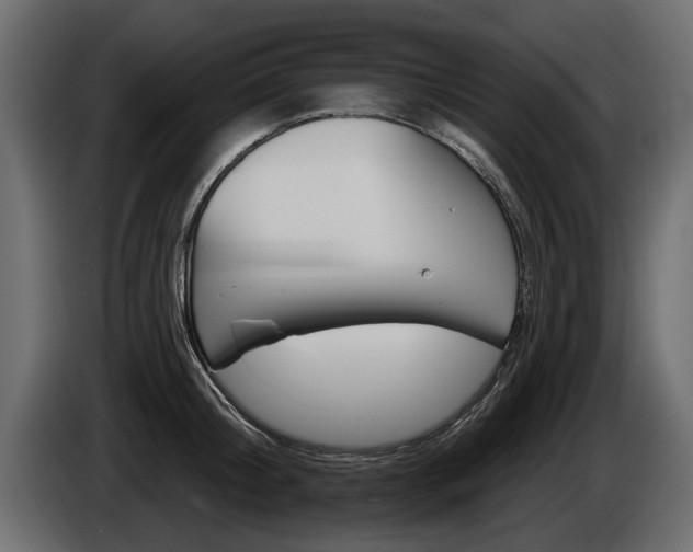 X0000086000804200703230848