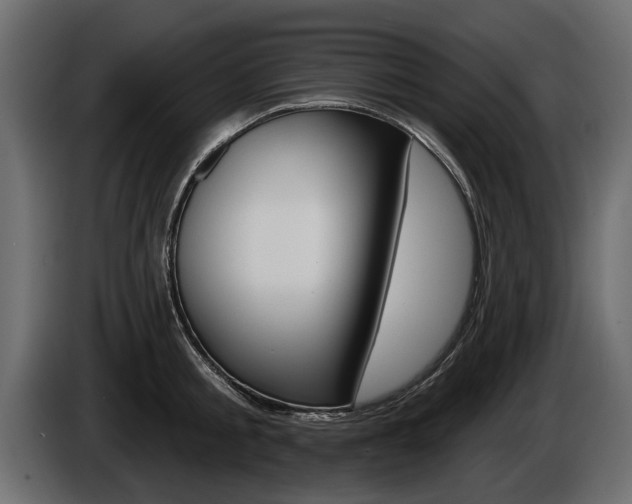 X0000086000805200703230848
