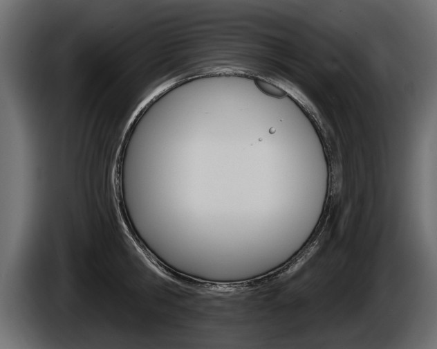 X0000086000806200703230848