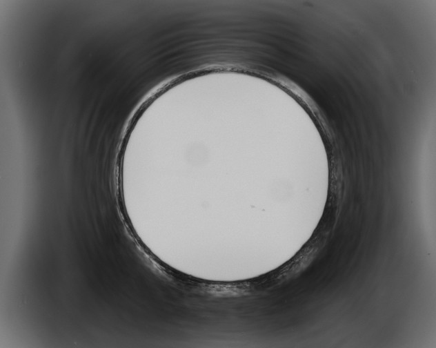 X0000086000807200703230848