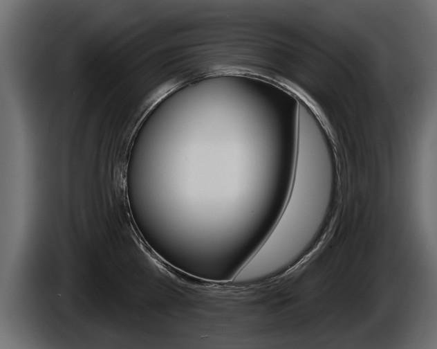 X0000086000809200703230848