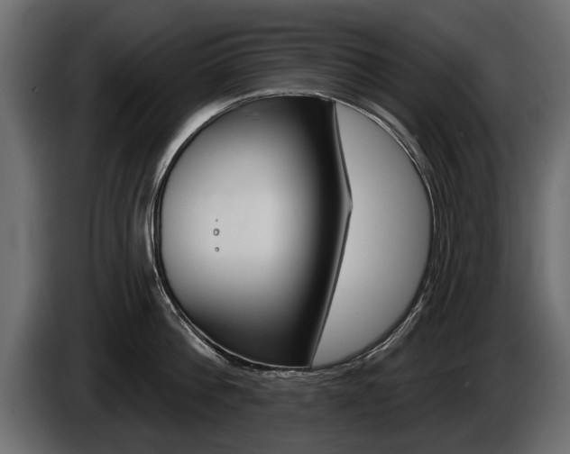 X0000086000812200703230848