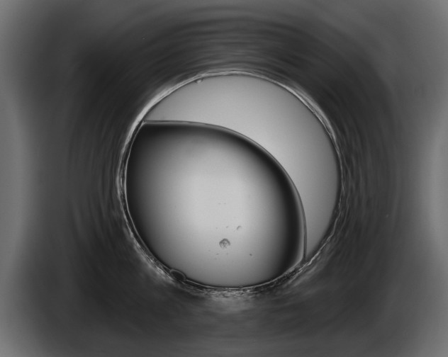 X0000086000813200703230848