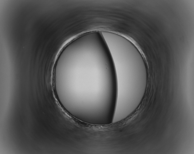 X0000086000815200703230848