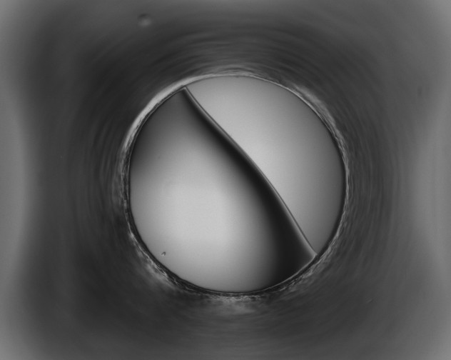 X0000086000816200703230848