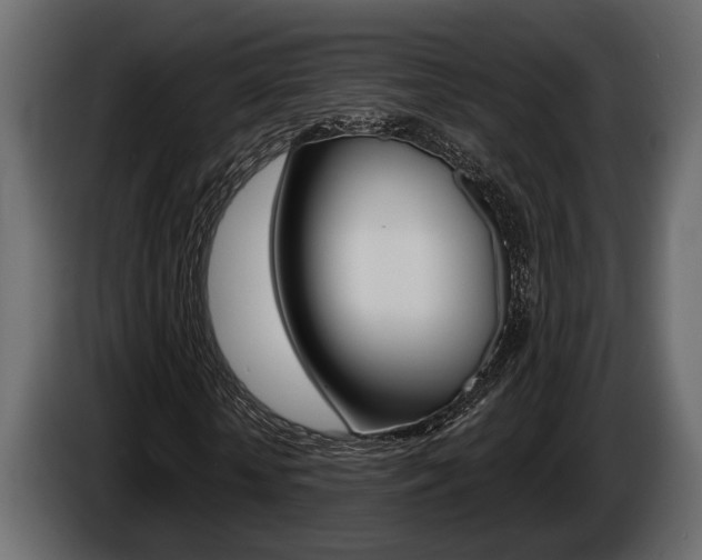 X0000086000818200703230847