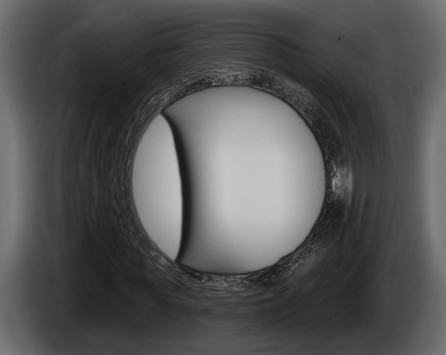X0000086000819200703230847