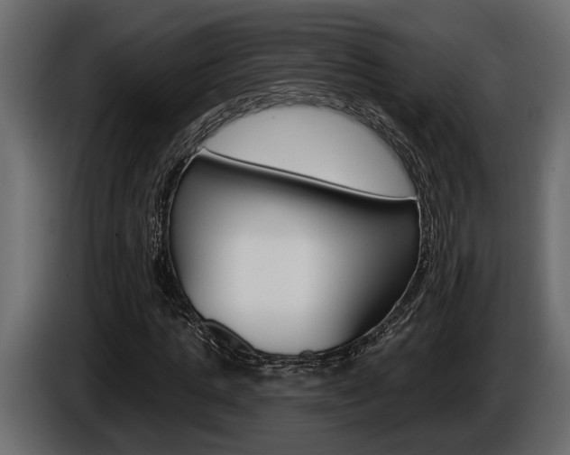X0000086000821200703230847