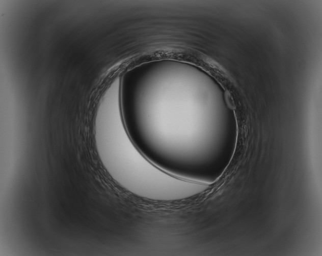 X0000086000822200703230847
