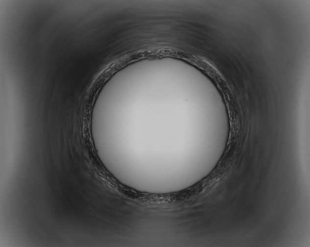 X0000086000823200703230847