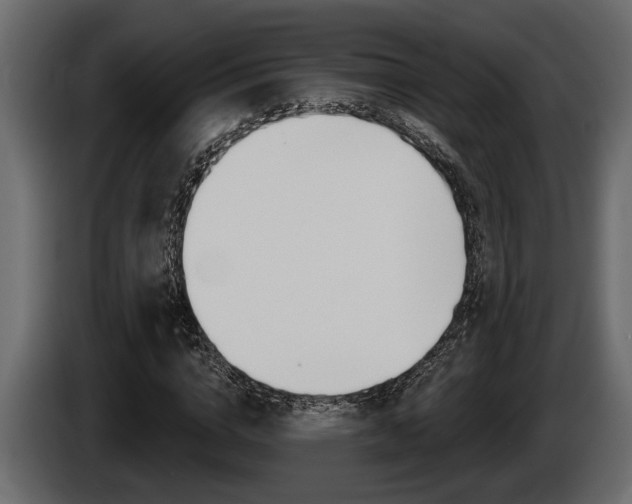X0000086000824200703230847
