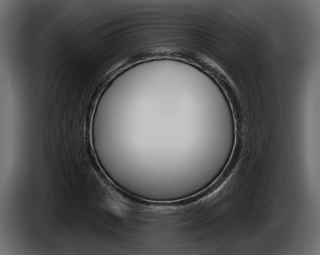 X0000086000825200703230847
