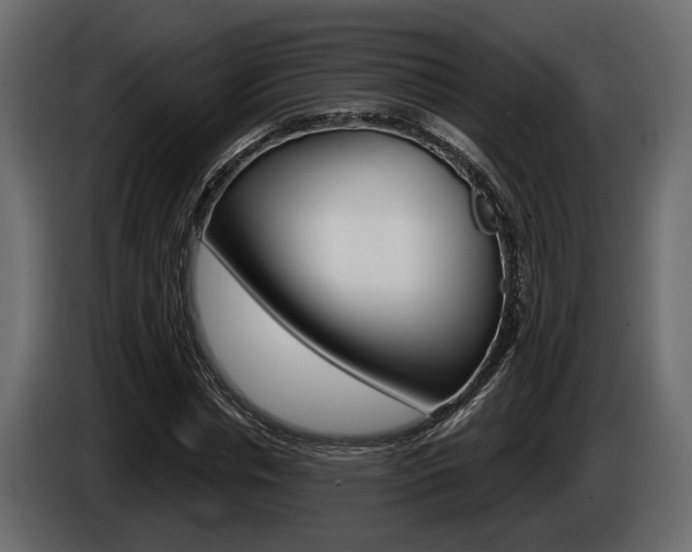 X0000086000826200703230847