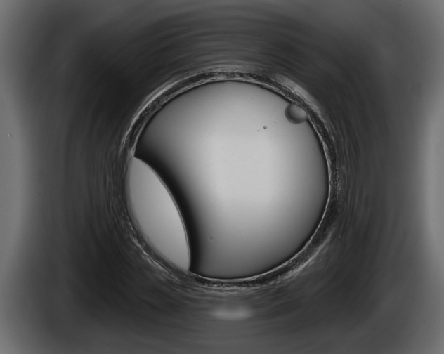 X0000086000829200703230847