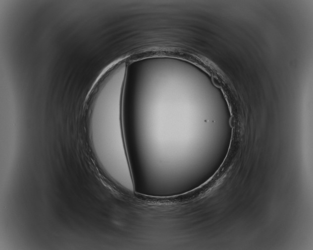 X0000086000830200703230847