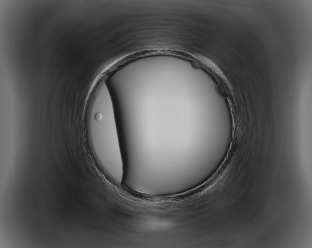 X0000086000831200703230847
