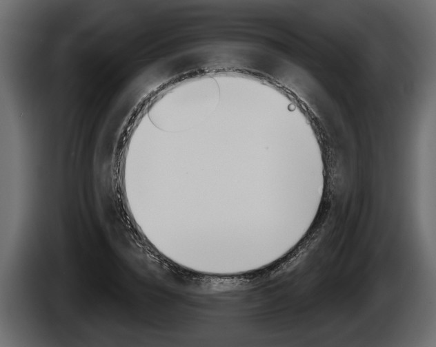 X0000086000832200703230847