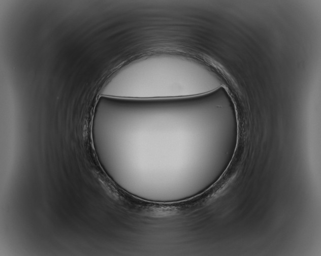 X0000086000833200703230847