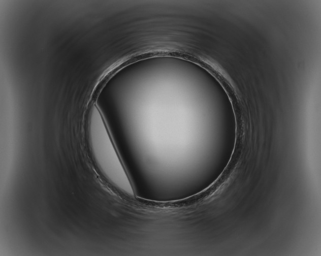 X0000086000834200703230847