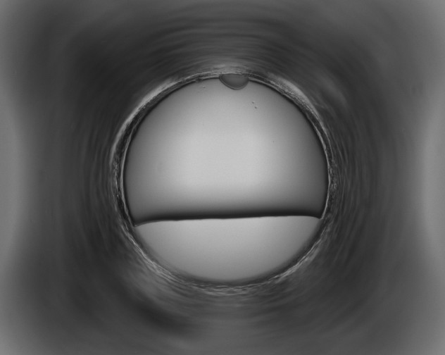 X0000086000835200703230847