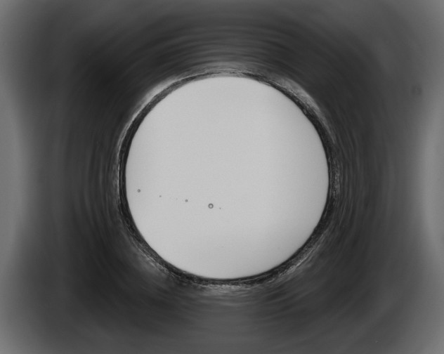 X0000086000836200703230847