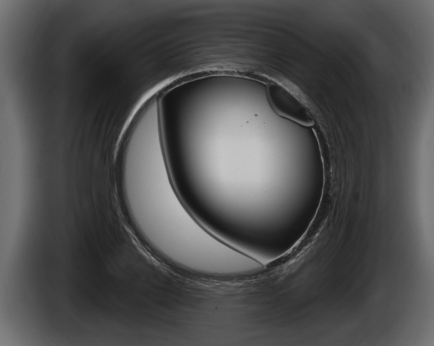 X0000086000838200703230847