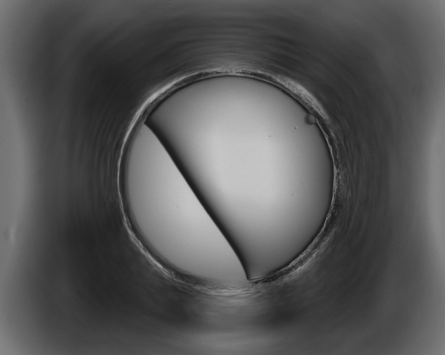 X0000086000839200703230847