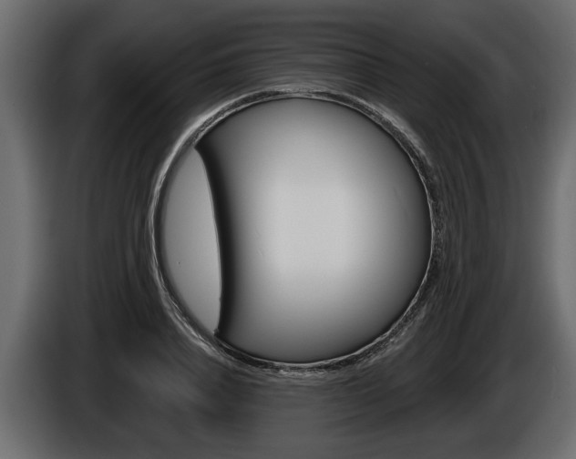 X0000086000840200703230847