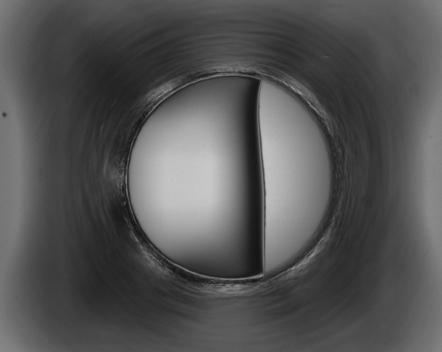 X0000086000841200703230847