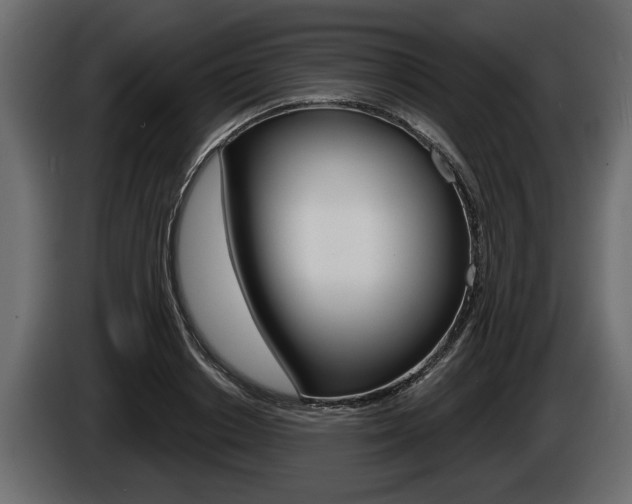 X0000086000842200703230847