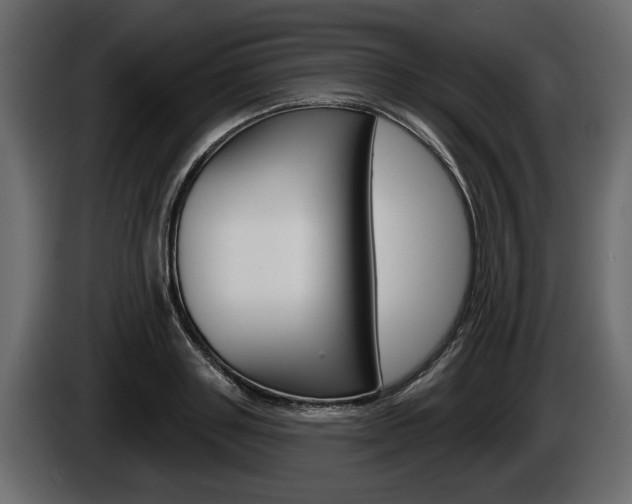 X0000086000843200703230847