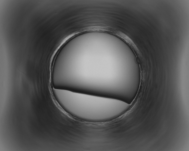 X0000086000844200703230847