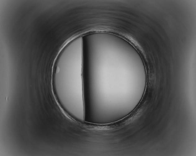X0000086000845200703230847