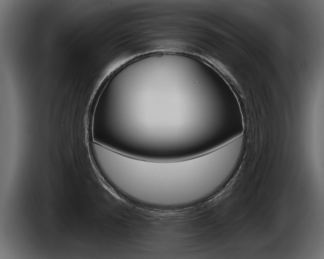 X0000086000846200703230847
