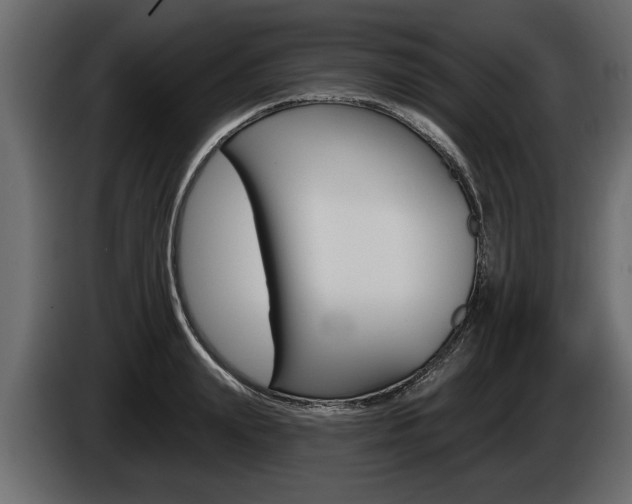 X0000086000847200703230847