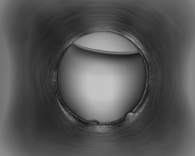 X0000086000849200703230847