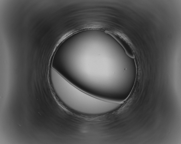 X0000086000850200703230847