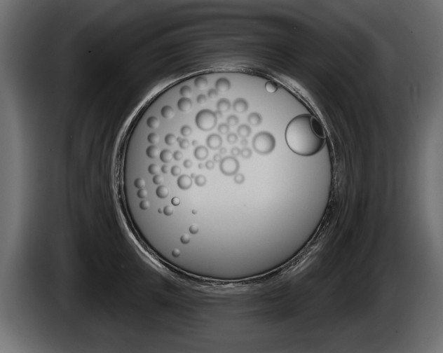 X0000086000851200703230847