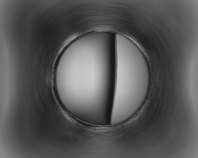 X0000086000853200703230847