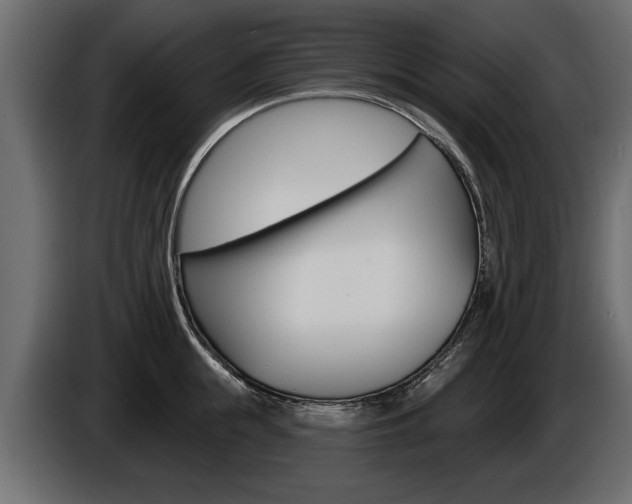 X0000086000855200703230847