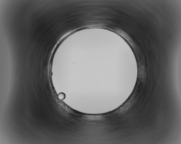 X0000086000856200703230847