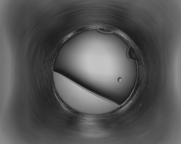 X0000086000857200703230847
