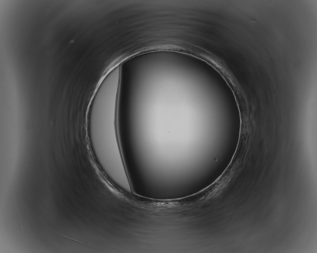 X0000086000858200703230847